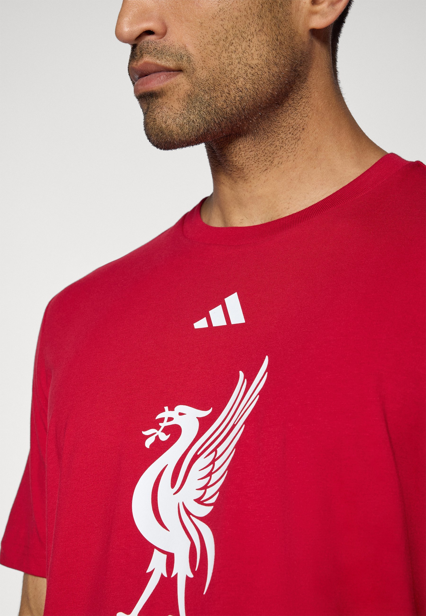 adidas Performance LIVERPOOL FC DNA GRAPHIC T-SHIRT - Clubkleding - aardbeirood