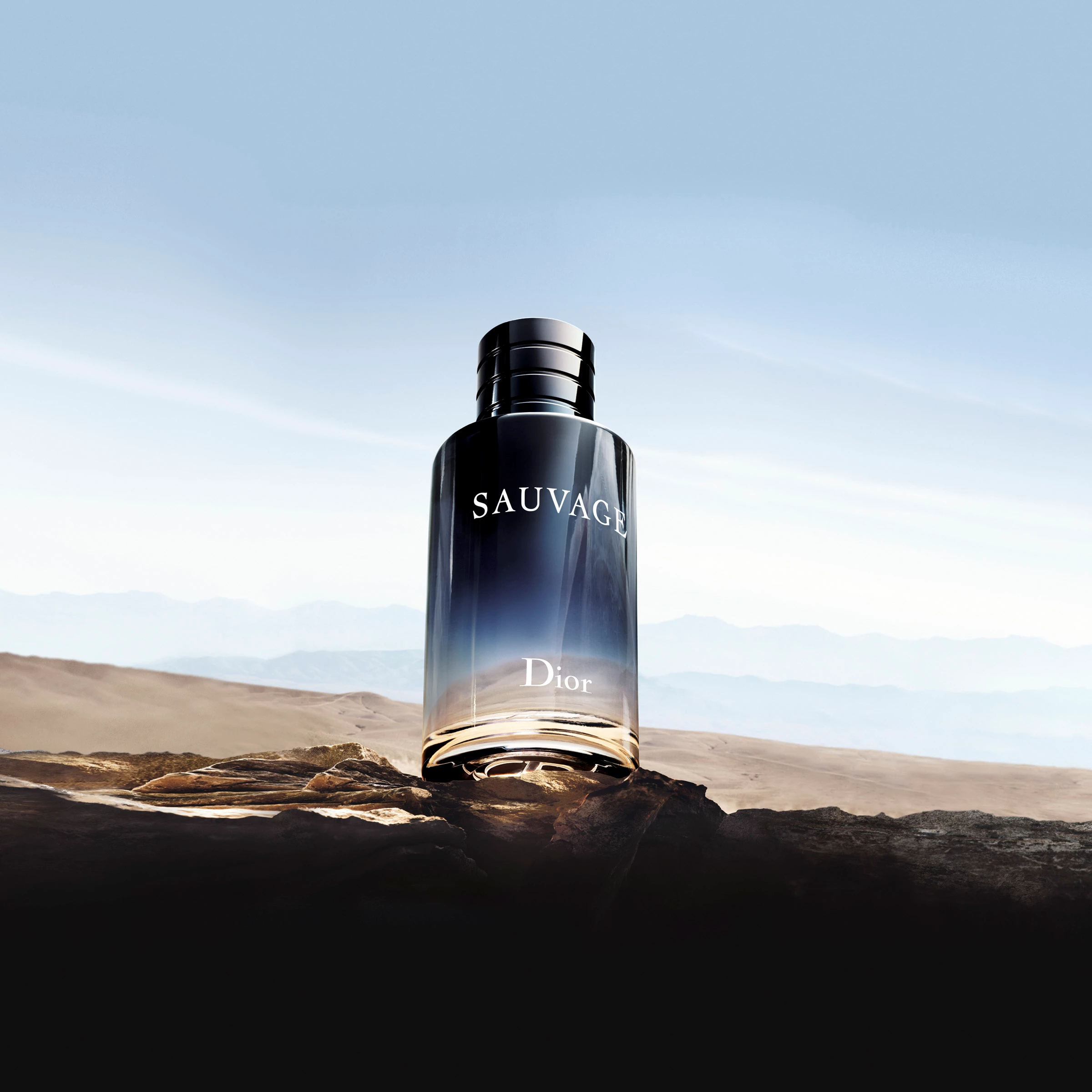 DIOR Sauvage EdT 60 ml