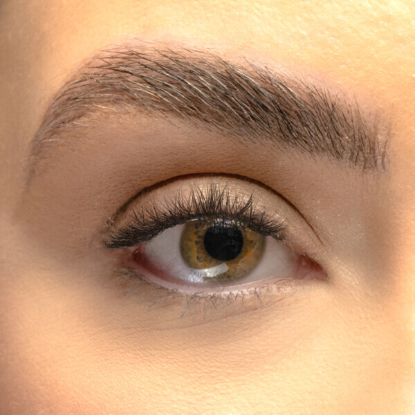 Lola's Lashes Short Classic DIY-sett med vippeextensions