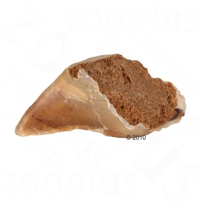 Trixie patarágó húspasztával