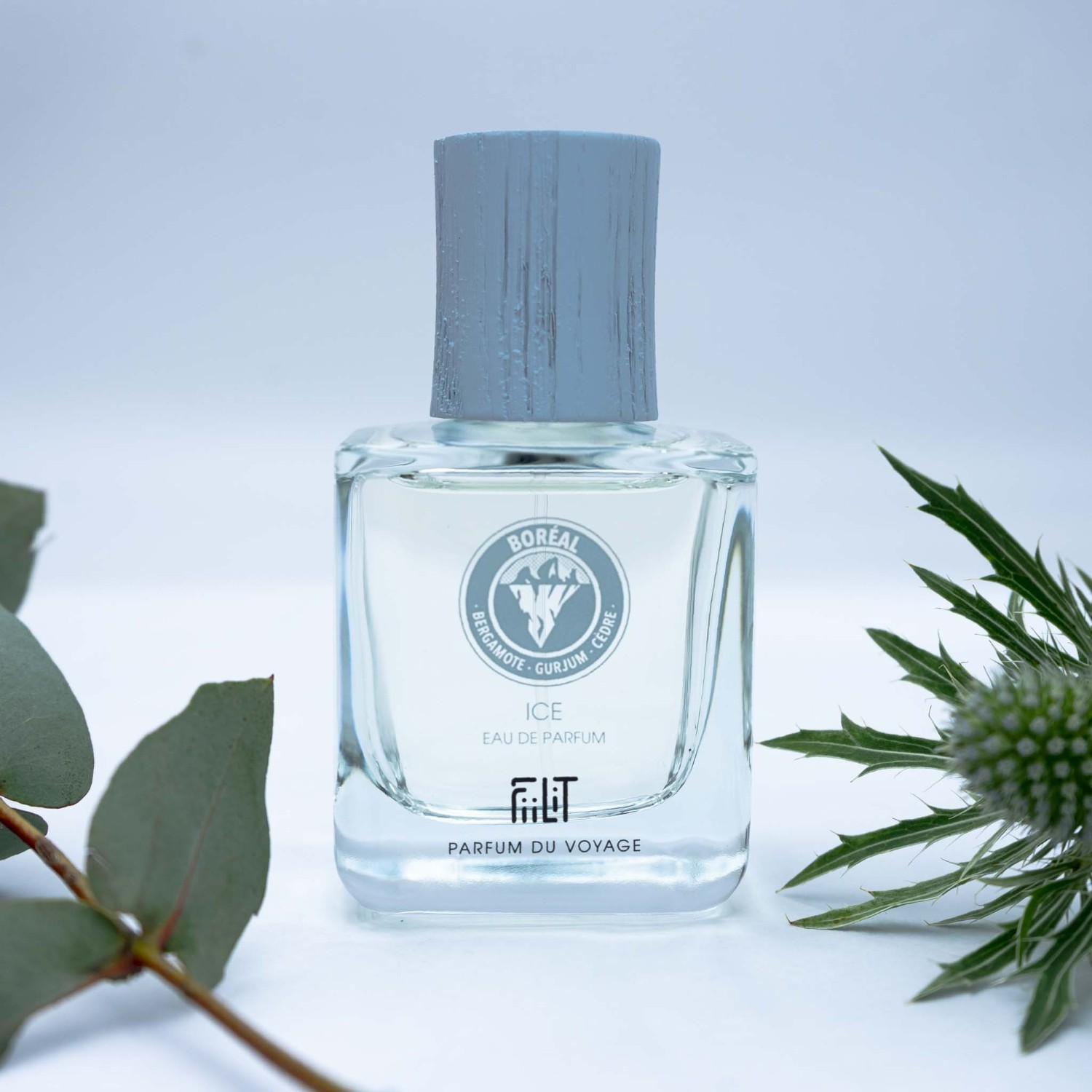 FiiLiT ICE - BOREAL