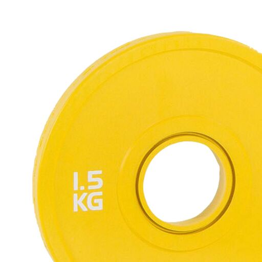 Deluxe Color Fractional Fitness Bumper Disc