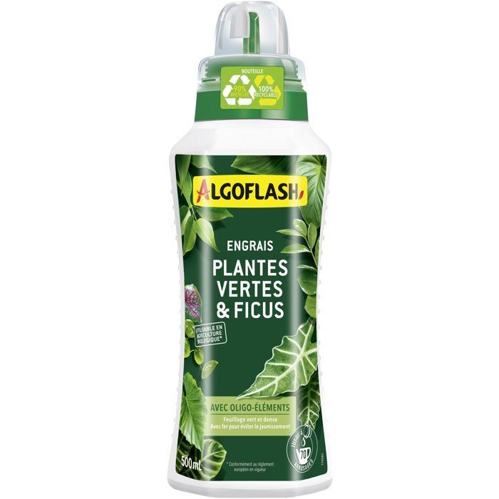 Fertilizante para plantas verdes - ALGOFLASH - Plantas verdes y ficus - 500 ml - UAB