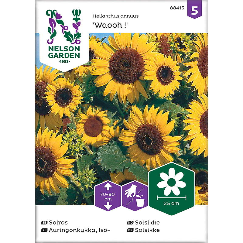 Nelson Gartensamen Sonnenblume Wow!