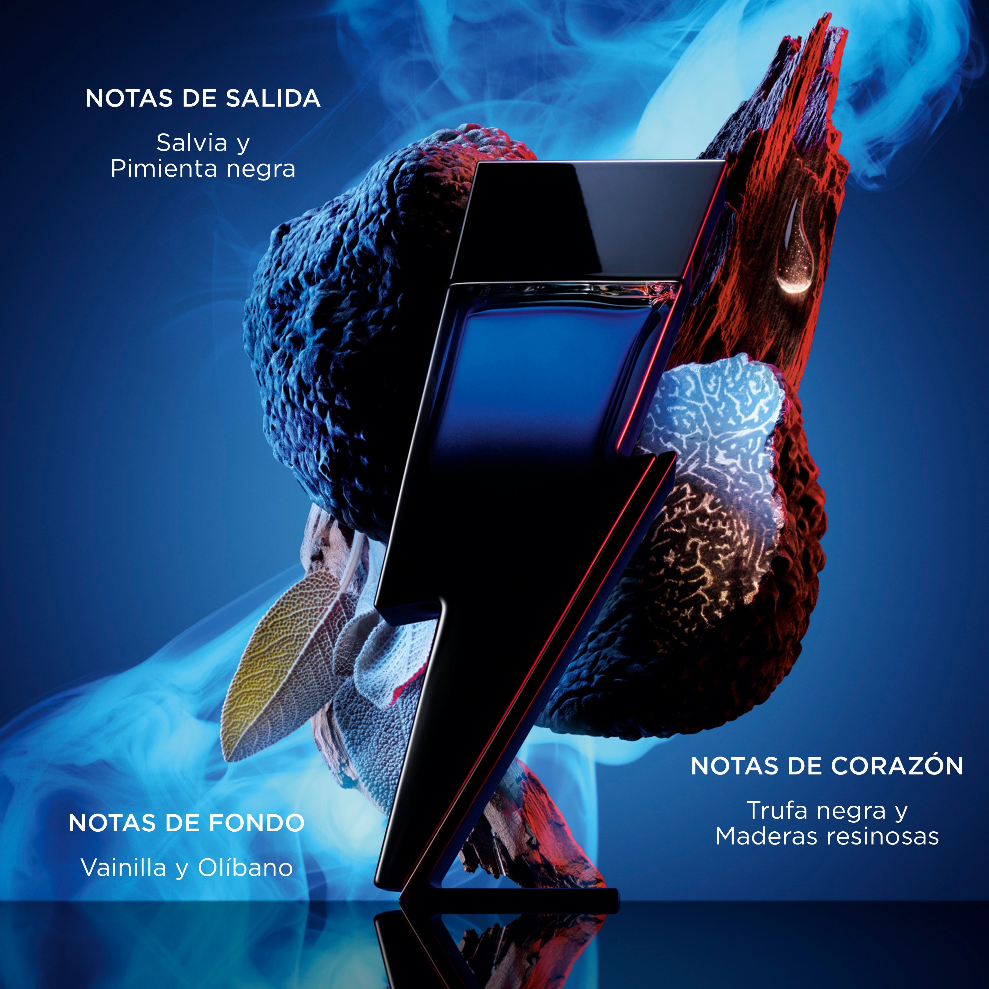 Bad Boy Cobalt Elixir Eau de Parfum Parfemi za muškarce