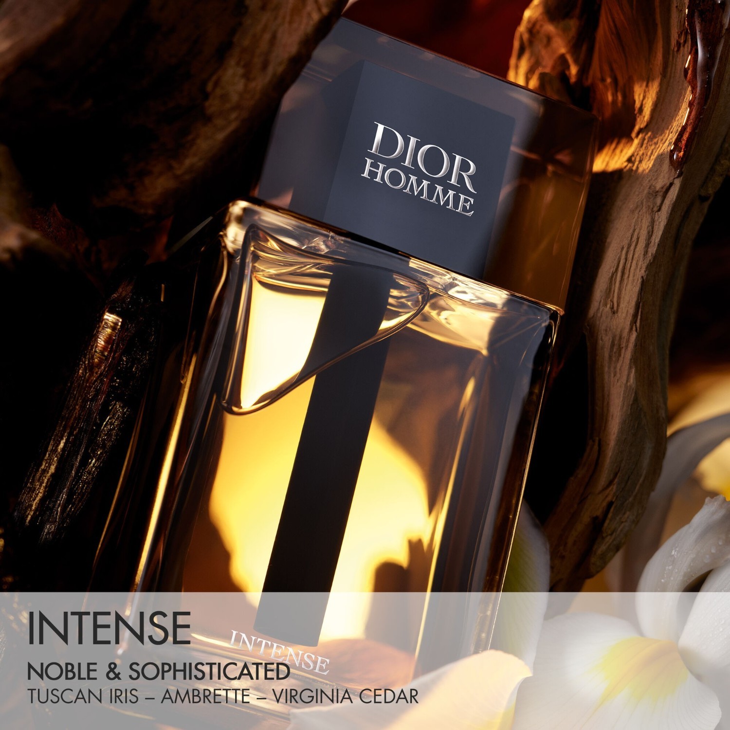 Parfuminis vanduo DIOR Dior Homme parfumuotas vanduo Intense - 50 ml