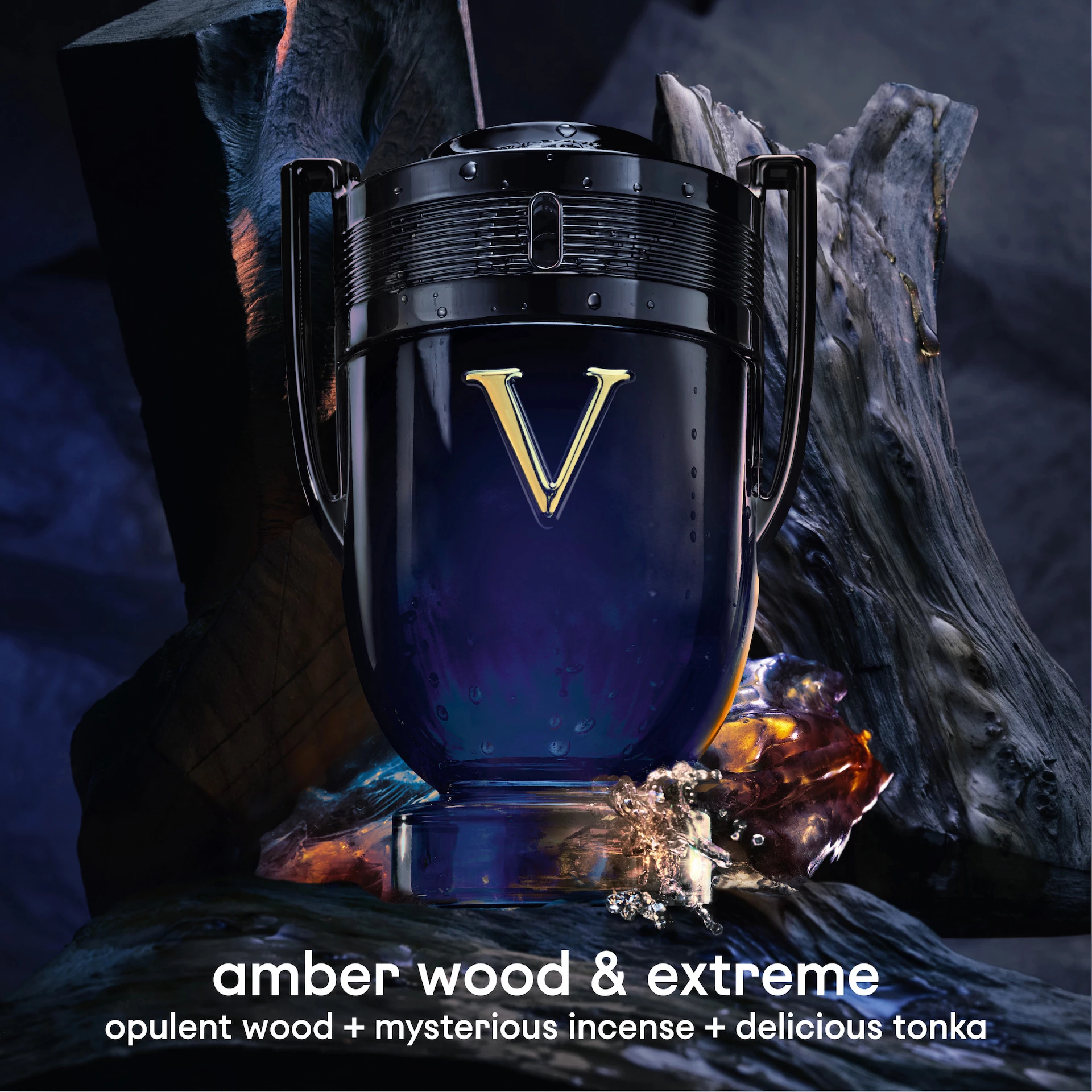 Invictus Victory Elixir EdP 100 ml - Rabanne