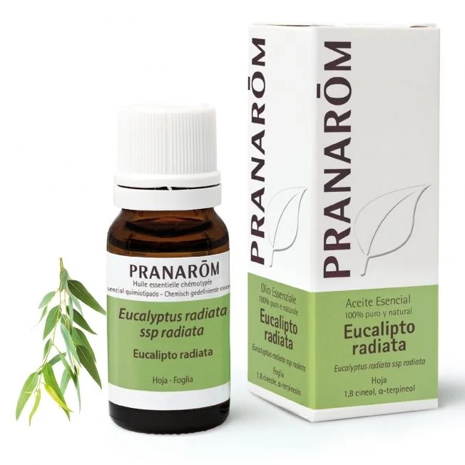 PRANAROM Pranarom Oe Eucal Radiata 10 ml