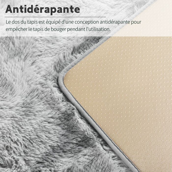Tapis Salon , Frixovel Tapis Chambre 160x230CM , Dessous Antidérapant , Doux Moelleux