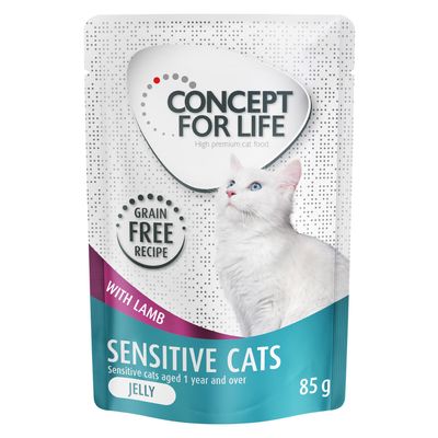 Concept for Life Sensitive Cats Cordeiro Sem Grãos em Gelatina