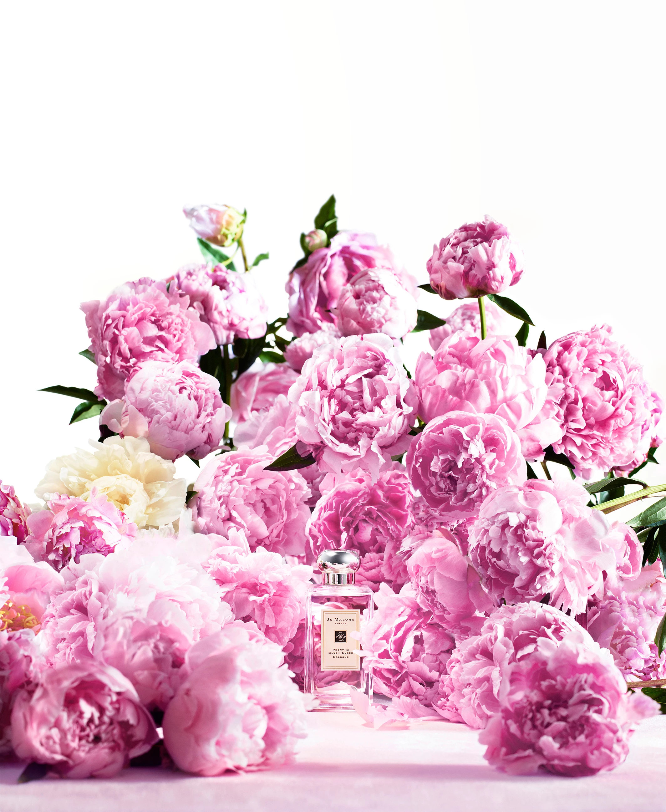 Peony & Blush Suede kölnivíz 100 ml - Jo Malone London