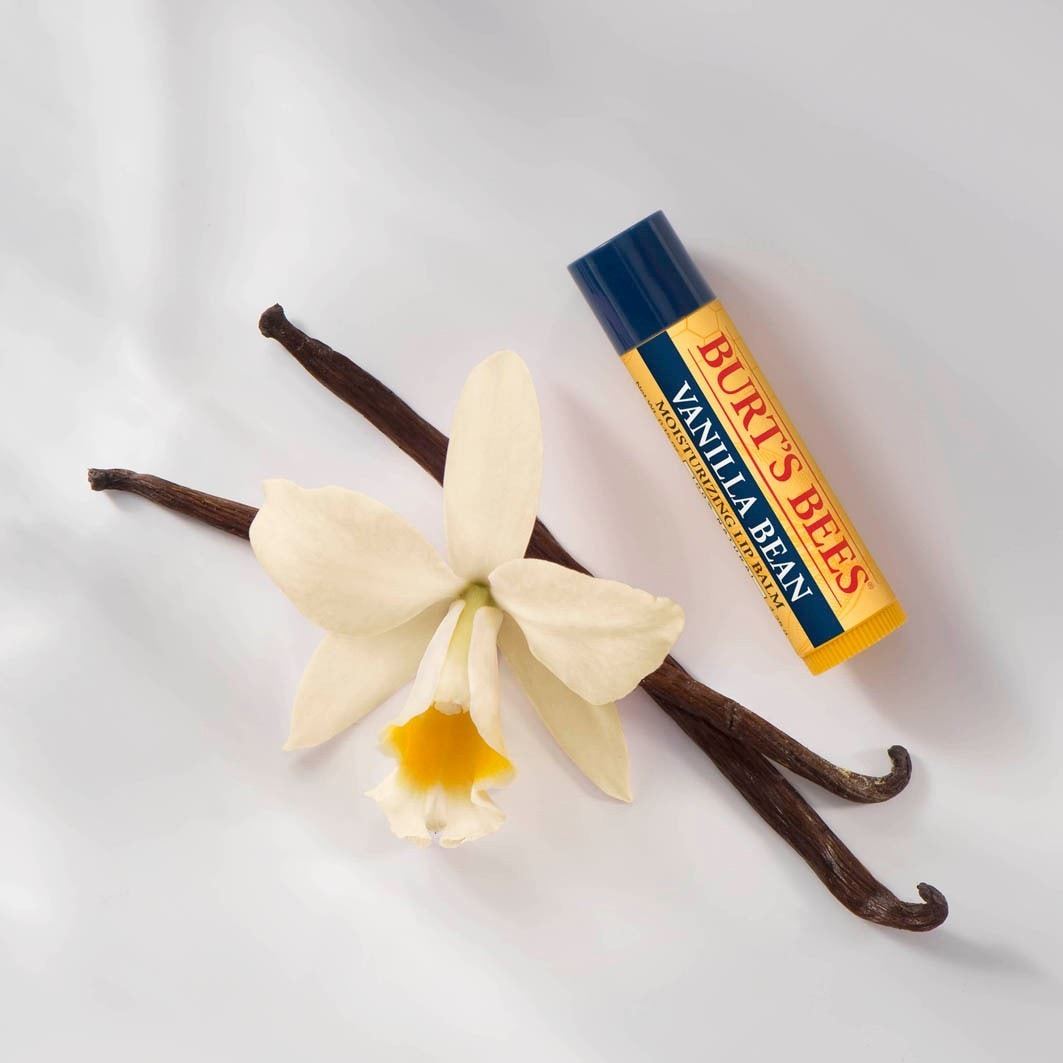 Burt's Bees balzam za ustnice vlažilni balzam za ustnice - vanilija - 4,25 g