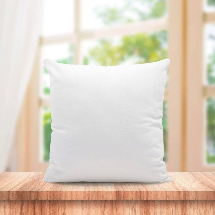 Juego de 2 almohadas de microfibra de 60x60 cm.