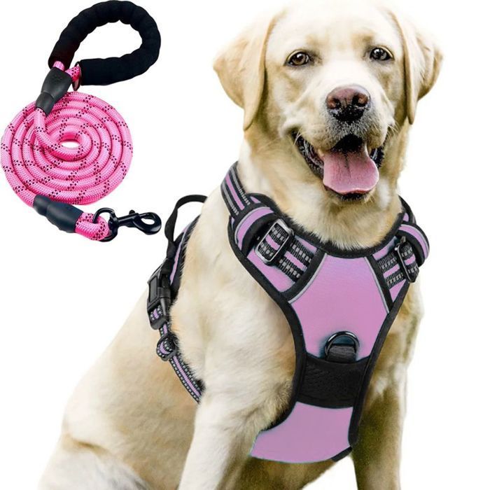 Harnais pour Chien - Noname - Taille M - Anti Traction - Réfléchissant - Laisse 1,5M