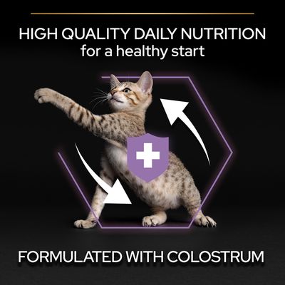 PURINA PRO PLAN Kitten Healthy Start - Πλούσια σε Κοτόπουλο