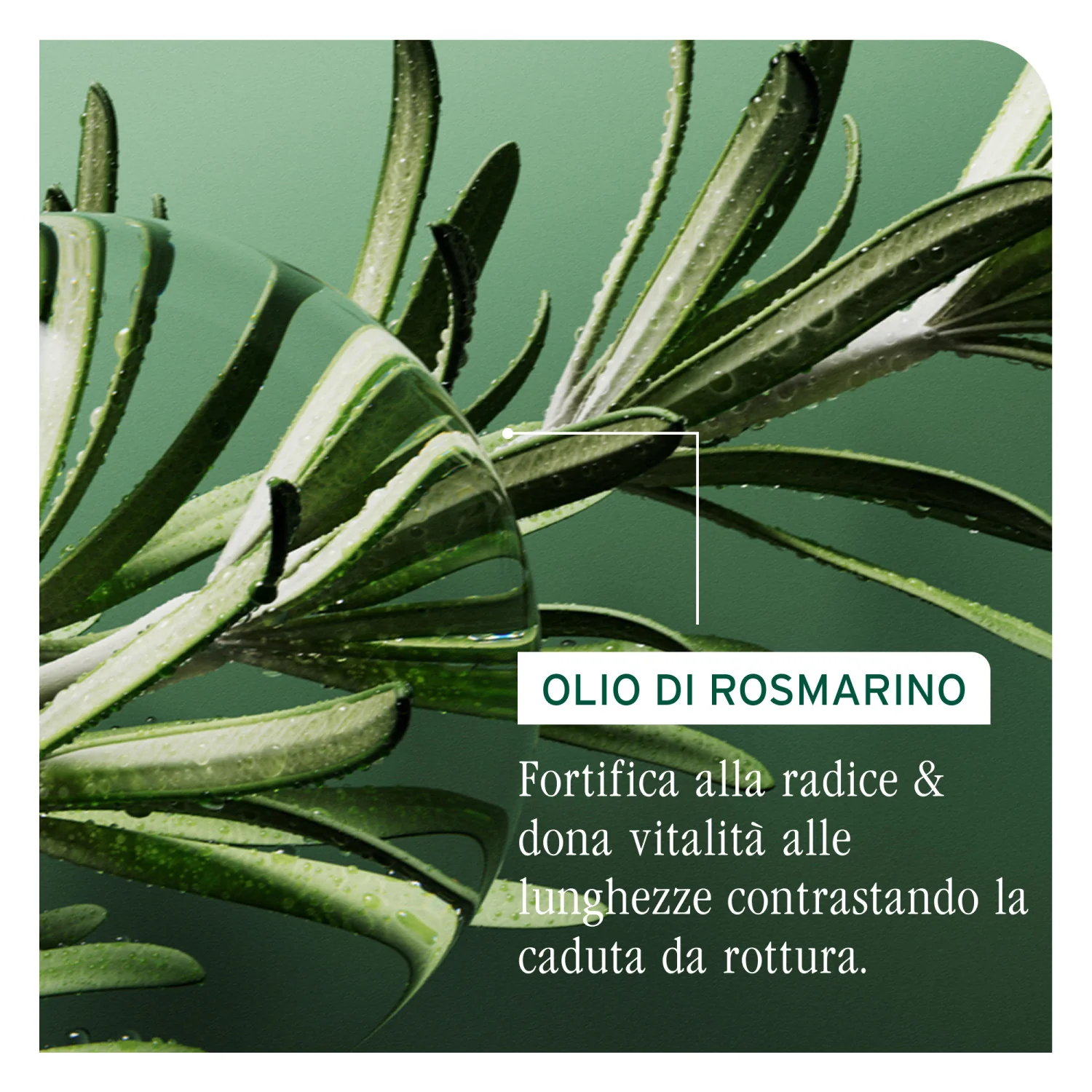 Full Rescue Shampoo - Shampoo Rinforzante, Shampoo Anticaduta, Shampoo Ridensificante
