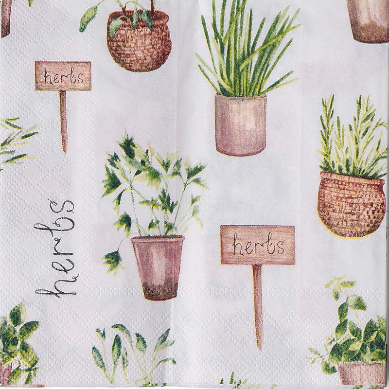 Vie Eco Servietter 20-pakning 33x33 cm