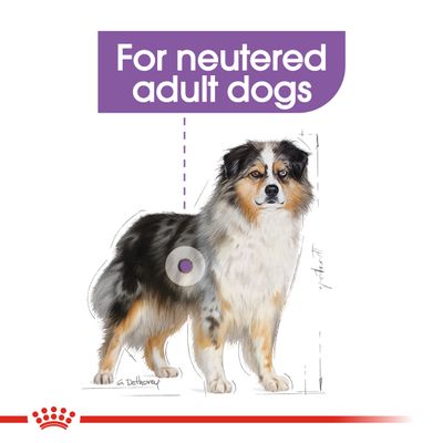 Royal Canin Medium Sterylizowane