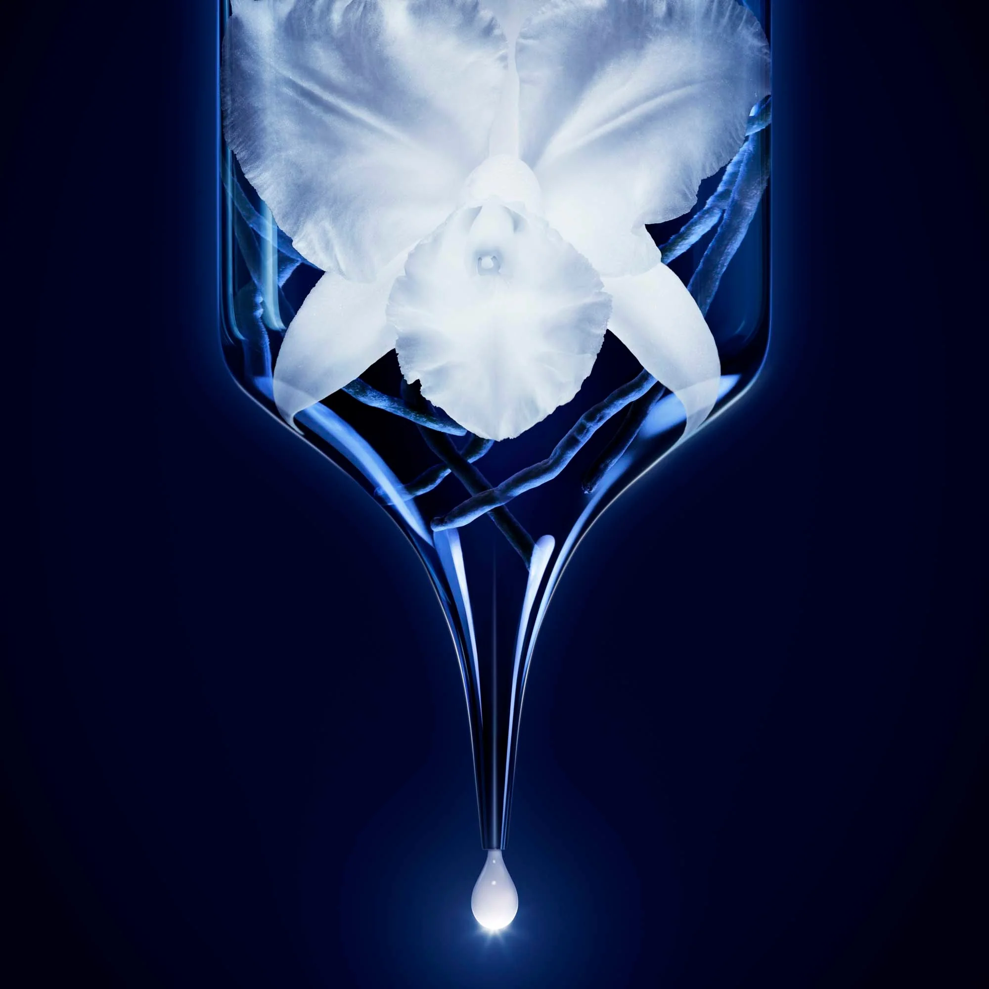 Orchidée Impériale Le Concentré de Longevité - Siero viso antirughe, Siero viso effetto globale, Trattamento Rigenerante