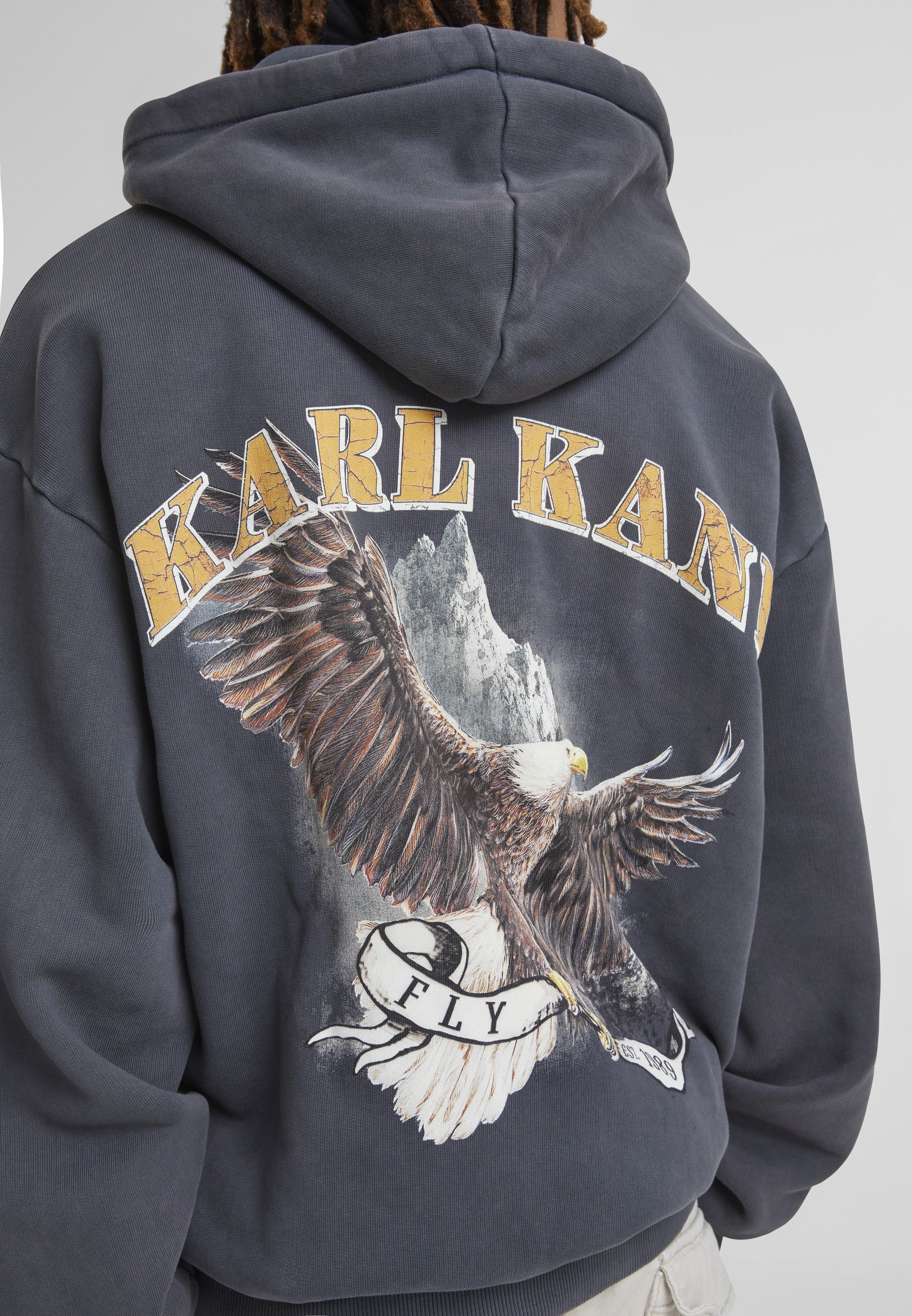 Karl Kani SMALL SIGNATURE WASHED EAGLE HOODIE UNISEX - Bluza z kapturem - bleach black