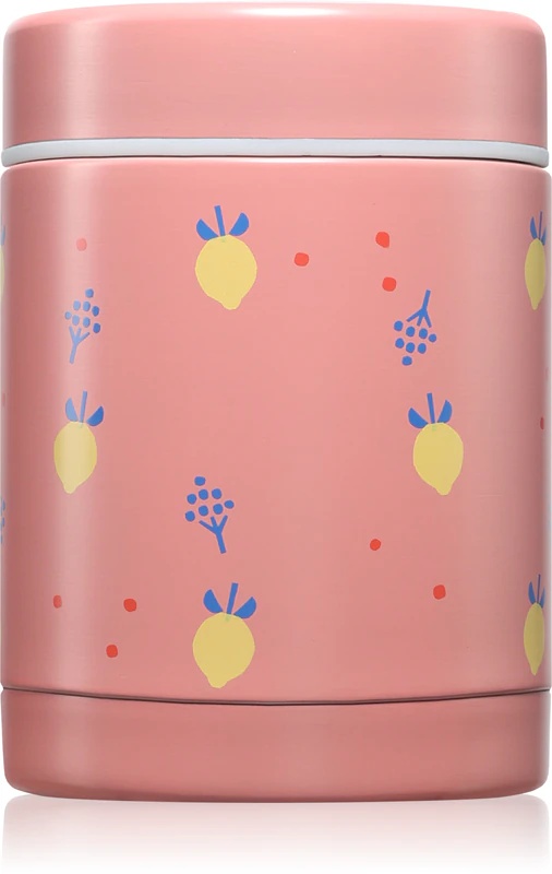 Termo posoda FRESK Food Jar za hrano