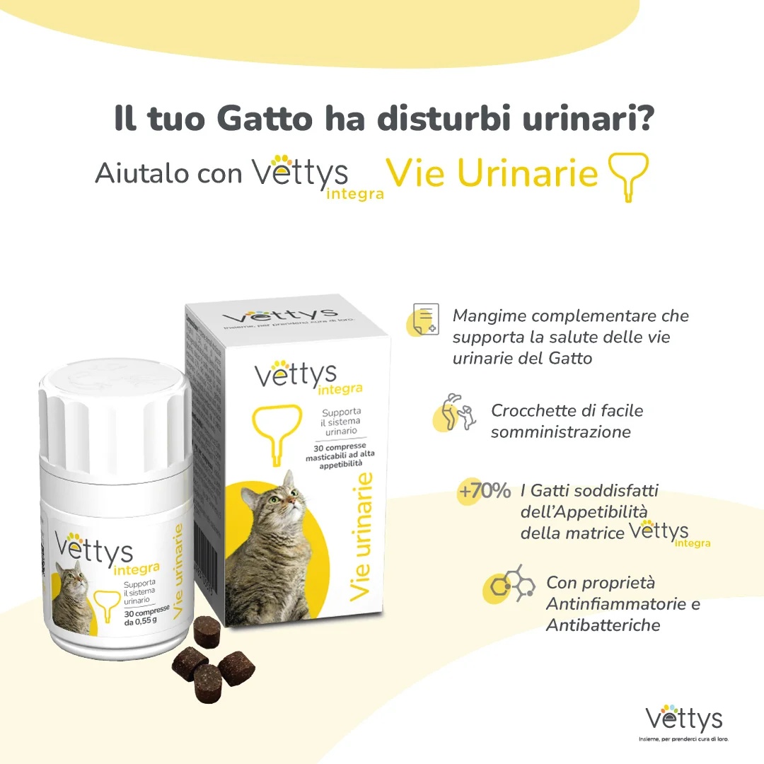 VETTYS Vettys Integra Urineweginfectie voor katten 30 tabletten voor katten