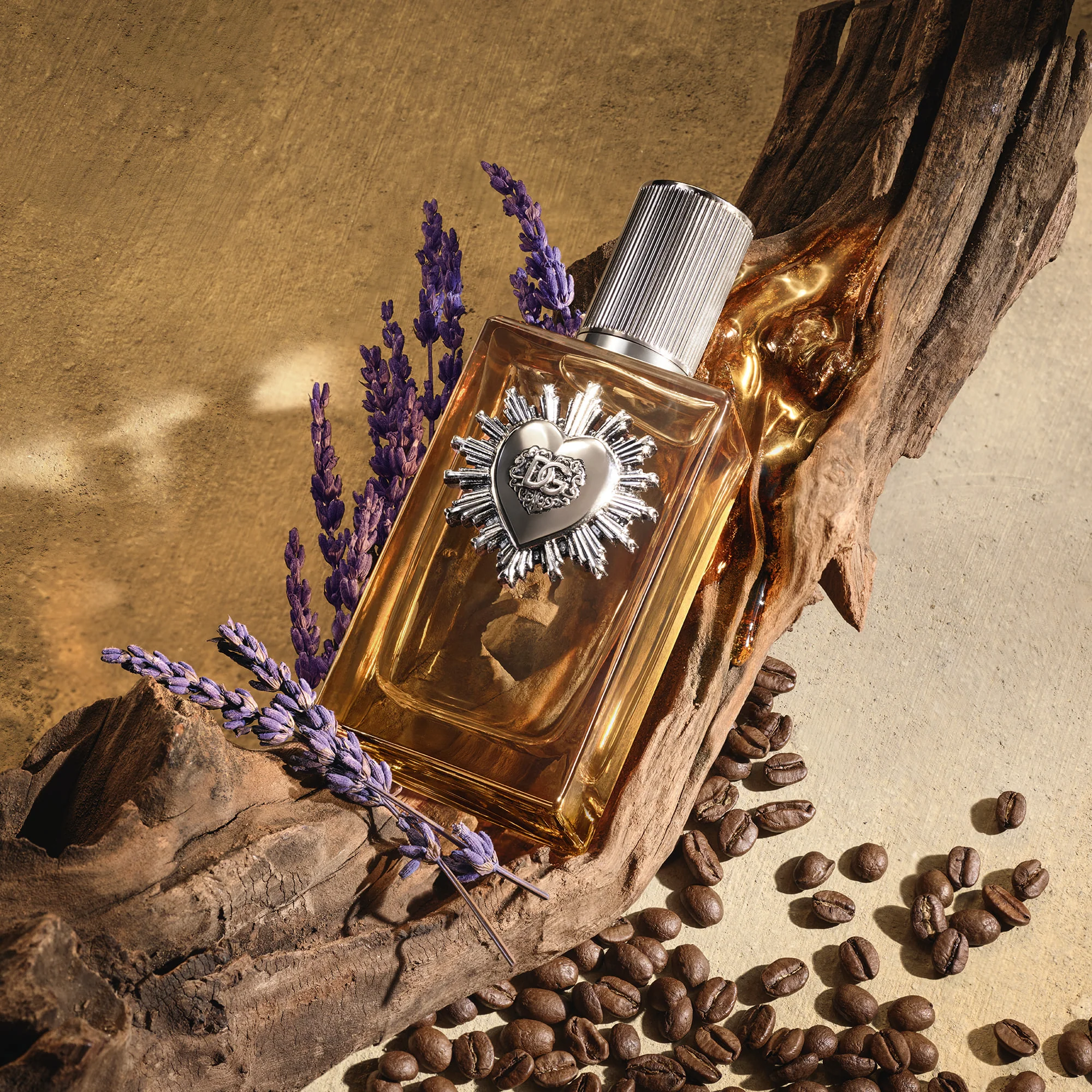 Devotion For Men Parfum - Parfum Uomo, Parfum