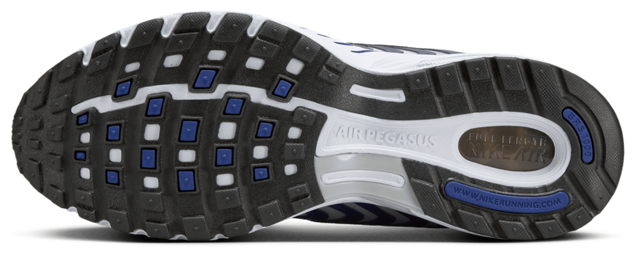 Nike Air Pegasus 2005