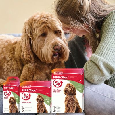 Beaphar FIPROtec® Plamka na pchły i kleszcze dla psów – L (20–40 kg)