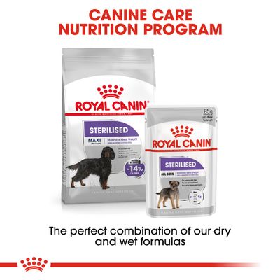 Royal Canin Maxi Gesteriliseerd