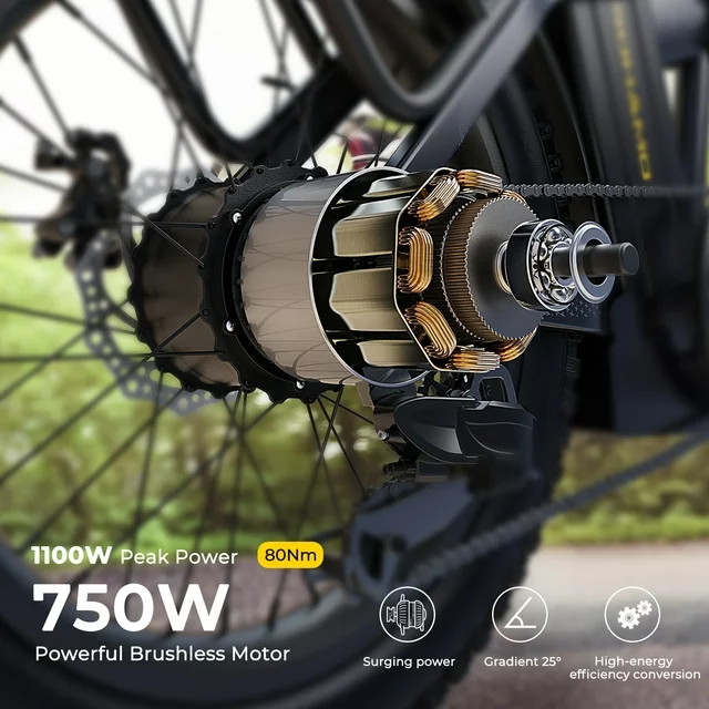 SOHAMO H3 Elektrofahrrad für Erwachsene, 20-Zoll-Fatbike-Faltrad, 750-W-Motor, herausnehmbarer 48-V-15-Ah-Akku, Federgabel, Shimano 7-Gang-Mountainbike
