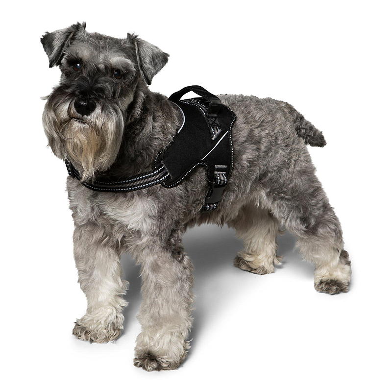 Zoozaker hundesele 45 cm, med håndtak