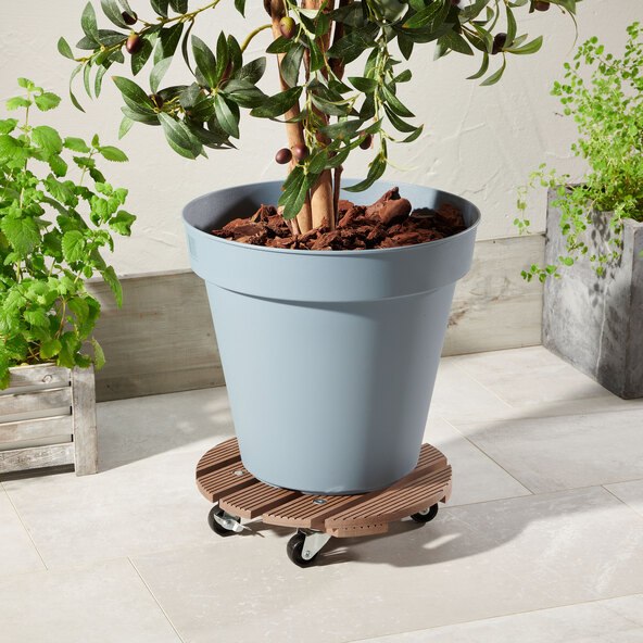 Plant trolley, brown, round