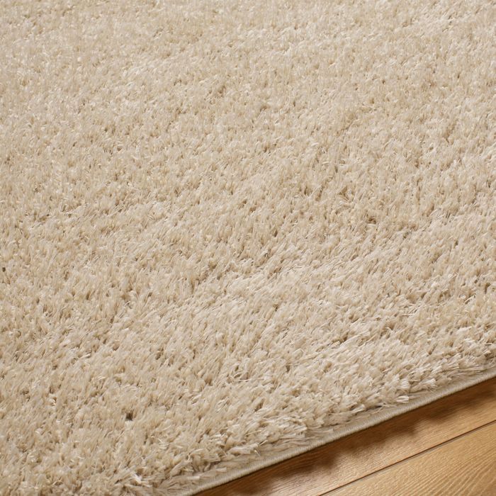 LIVABLISS Tapis de Salon à Poils Longs Doux Shaggy Uni Chic SOSO 160x213cm Beige
