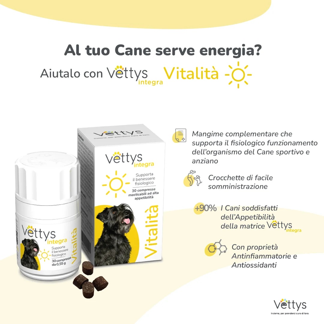 VETTYS Vettys Integra Vitality Dog 30 tabletten Energietonicum