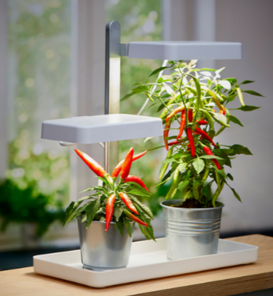 LED-Pflanzenlampe mit zwei Strahlern, 1.850 Lumen, 30 W