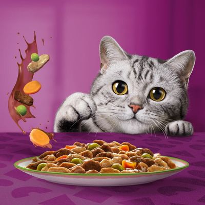 Whiskas 1+ Tasty Mix Chef's Choice w sosie