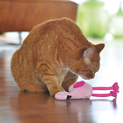 Aumüller Pinky Flamingo met valeriaan en spelt