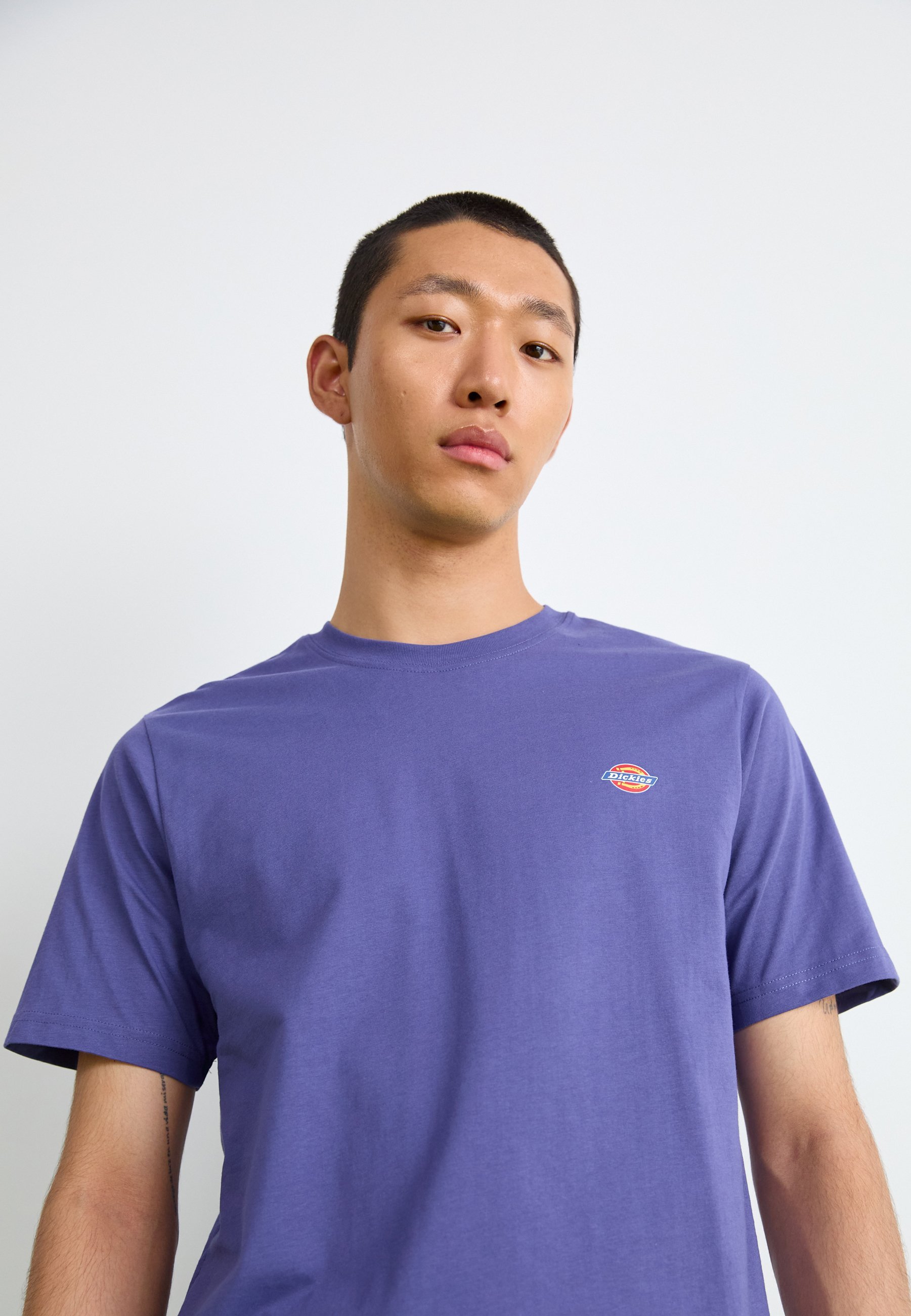 T-shirt basic Dickies