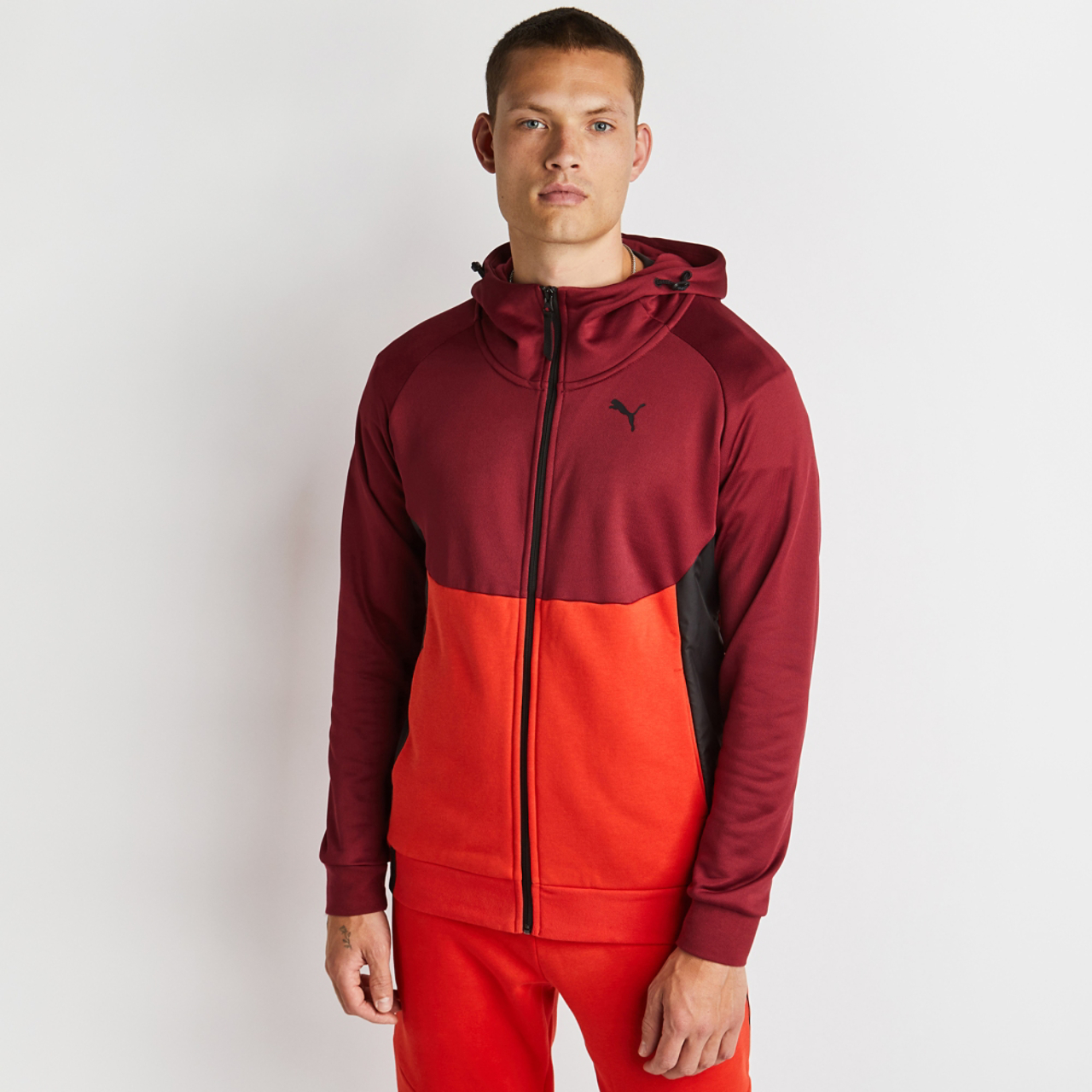 Puma Pumatech