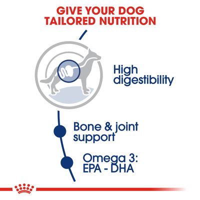 Royal Canin Maxi Adult