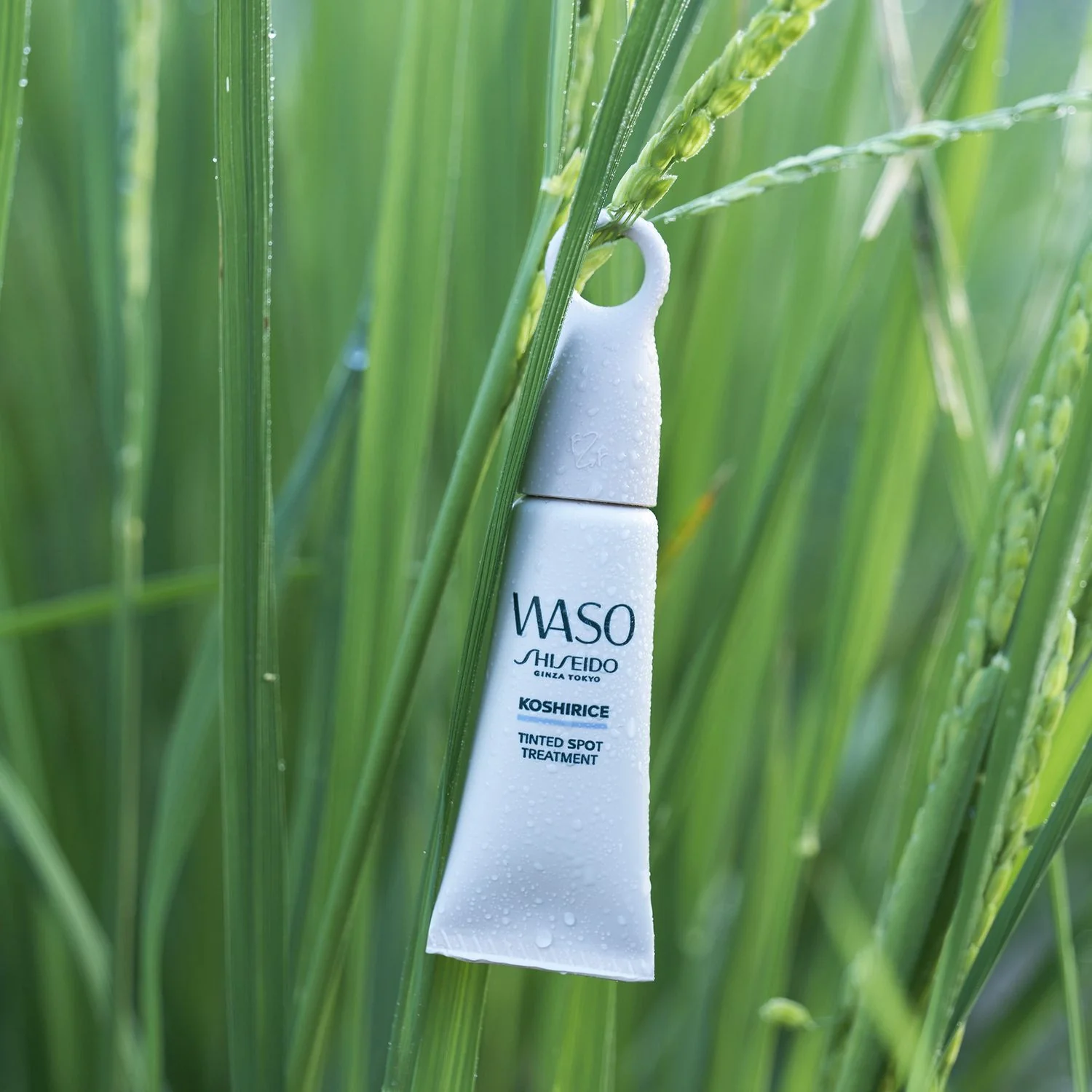 Waso KOSHIRICE Tinted Spot Treatment - Tratt.viso 24 ore antimperfezioni, Correttore, Tratt.viso 24 ore antimacchie
