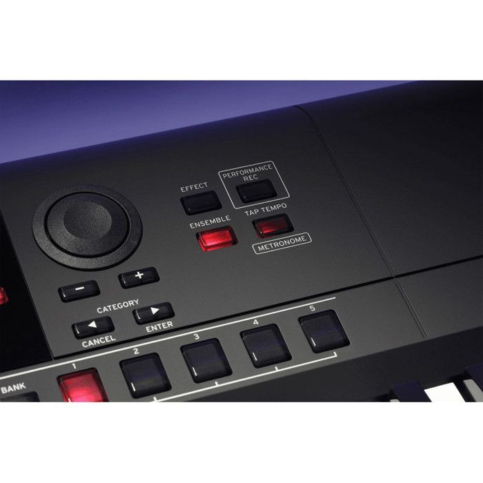 Korg i3-MB Dynamic Touch Keyboard
