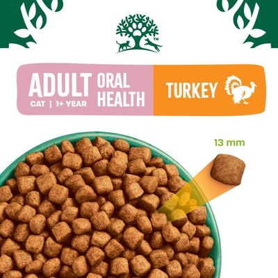 Saúde Oral para Gatos Adultos James Wellbeloved - Turquia
