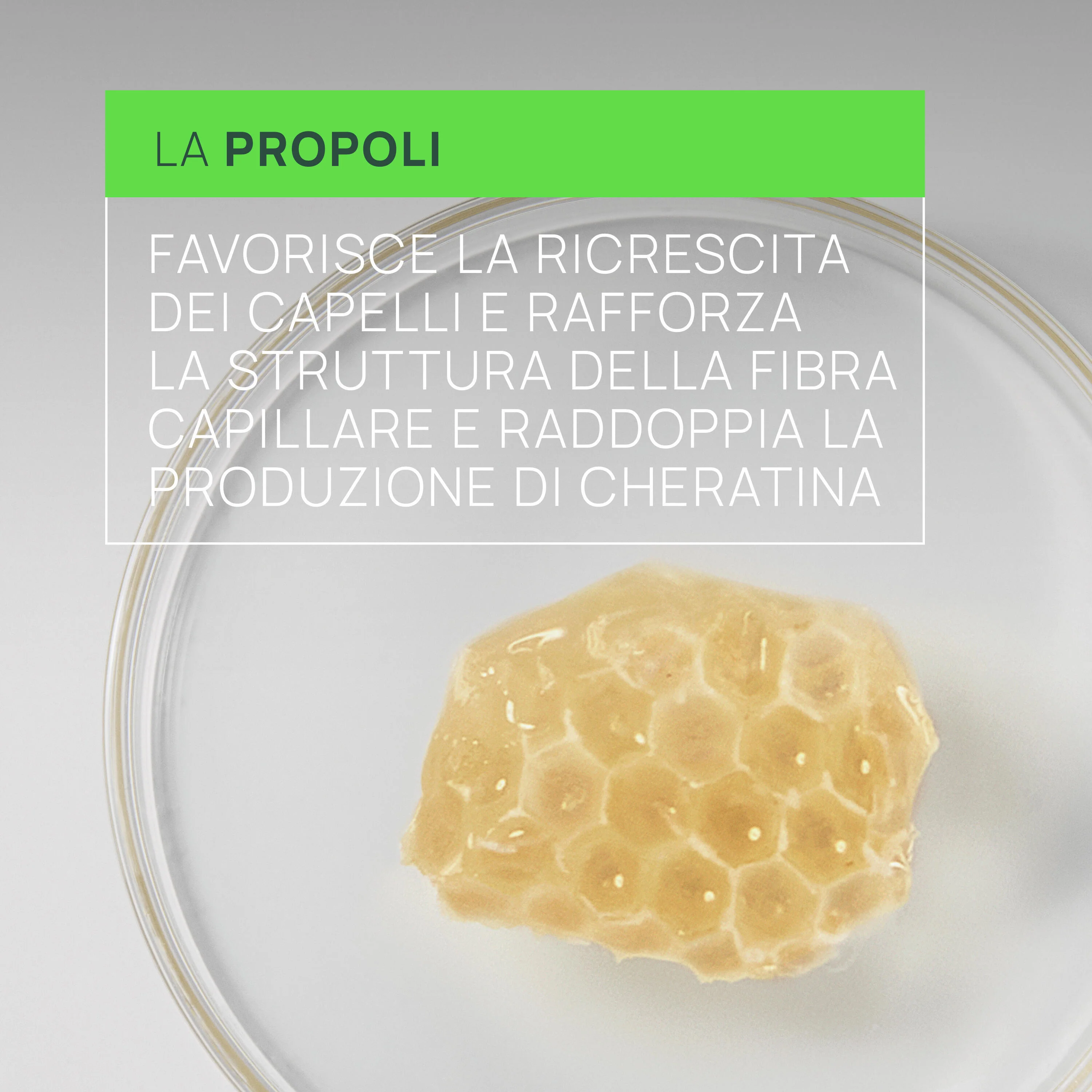 Triphasic Triphasic reactional - Trattamento 2-in-1 Anticaduta & Crescita - Caduta Reazionale - Trattamento Anticaduta Capelli