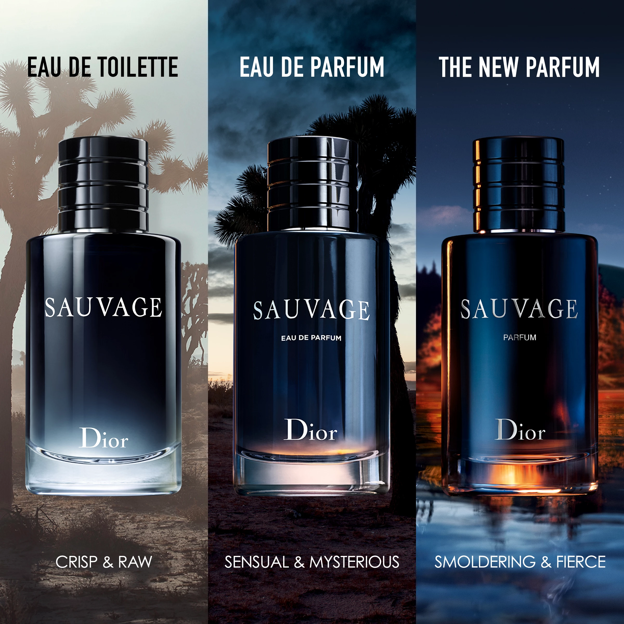 Sauvage EDT 60 ml - DIOR