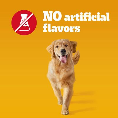 Pedigree Marquês