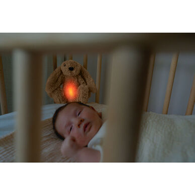 Zazu Sleeping Soother Ro Kani Pehmolelu Äänellä ja Valolla 1 kpl 1 kpl