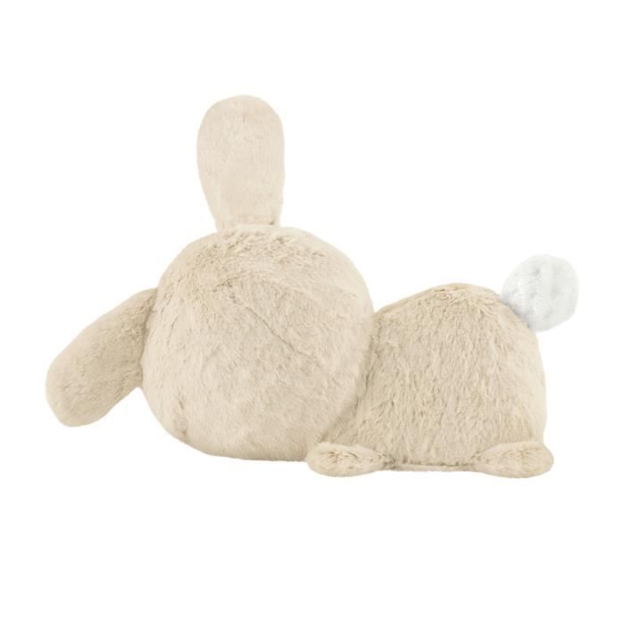 Fisher-Price Meu Coelhinho Fofinho - Pelúcia com Luz Noturna - Brinquedo Educativo Infantil - HXG97