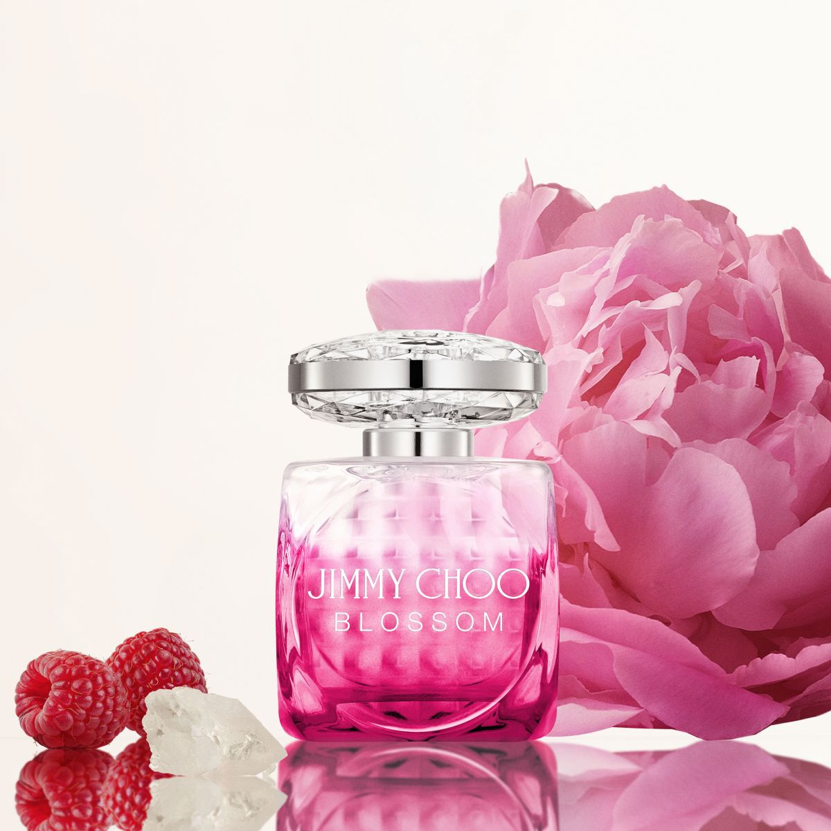 Jimmy Choo parfumska voda za ženske 40 ml Blossom